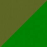KHAKI/GREEN