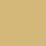 D.BEIGE